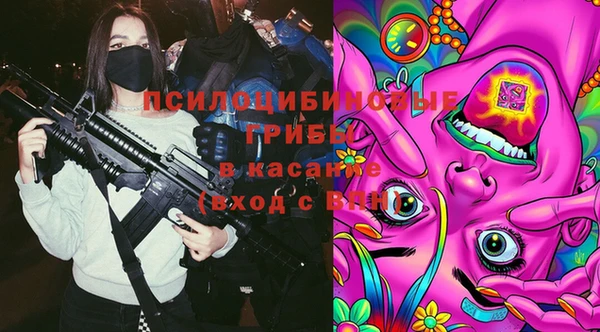 бошки Бородино