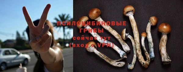 гидропоника Бронницы