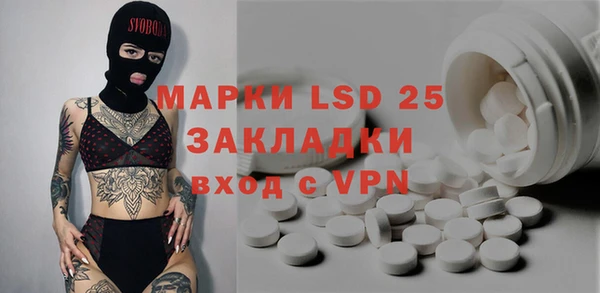 бошки Бородино