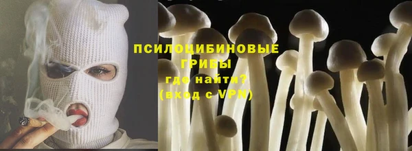 бошки Бородино