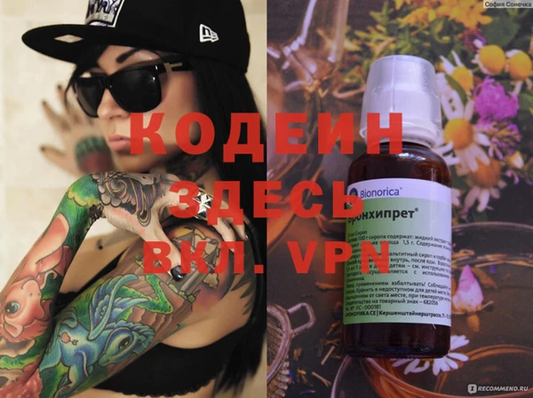 бошки Бородино