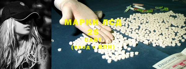 бошки Бородино