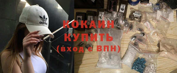 бошки Бородино