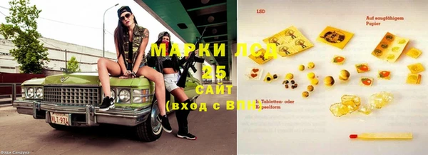 бошки Бородино