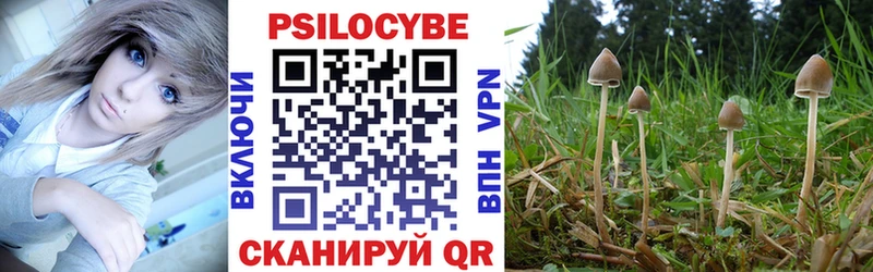 Псилоцибиновые грибы Psilocybe  Миллерово 
